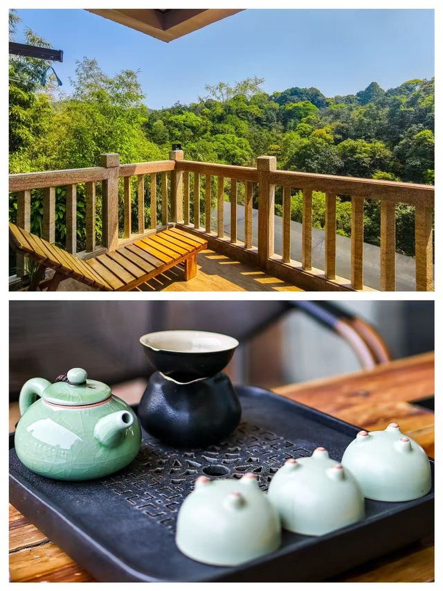 現實版綠野仙蹤與500種蘭花共眠的療癒之旅
