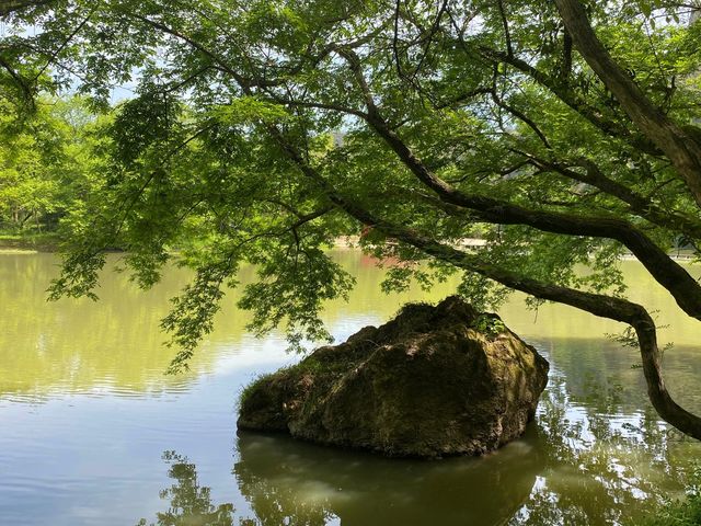 「邂逅黃帝飛升之地的山水詩畫」丨浙江仙都風景區