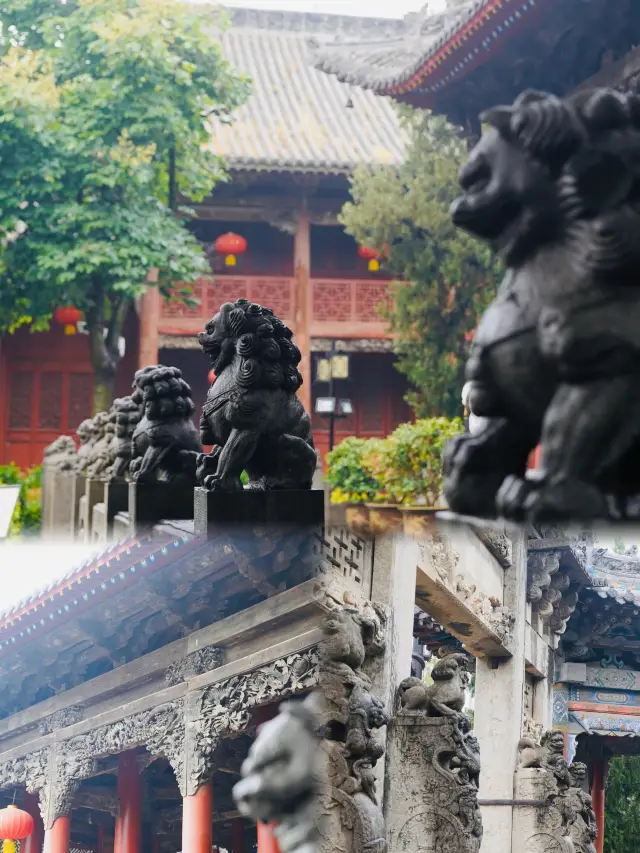 河南周口丨4-5月淡季來真的很香，人少景美