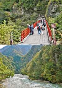 日本•北陸|金澤、富山三日遊