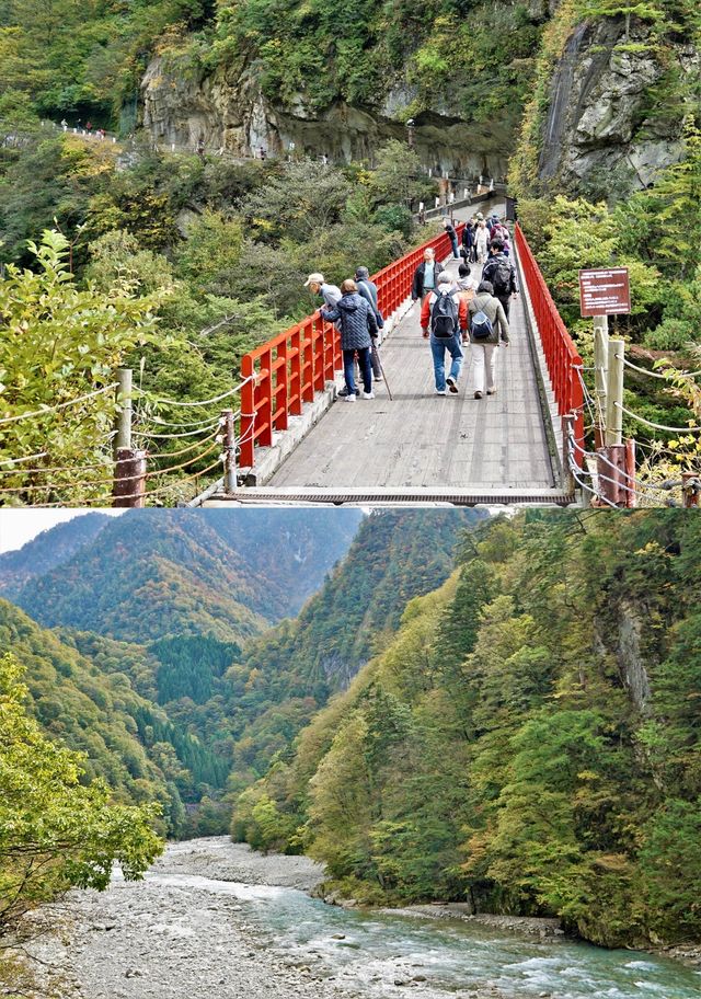 日本•北陸|金澤、富山三日遊