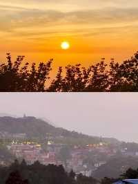 雲深不知處，只緣身在此山中