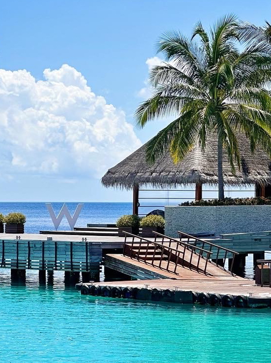 モルディブの海 W モルディブのおすすめガイド2025年（10月更新）| Trip Moments