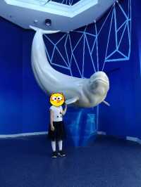 青島•極地海洋公園|吃喝玩樂必打卡
