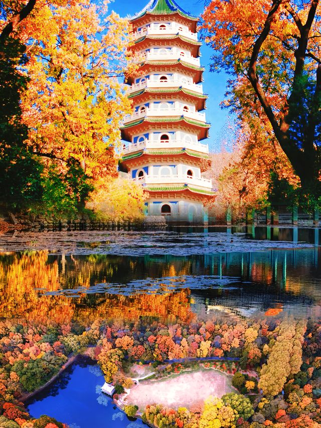 不僅有刺激好玩的遊樂項目還有美到讓人窒息的自然美景