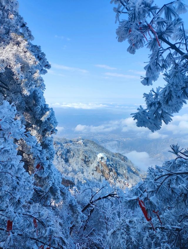 都51歲仲唔嚟老君山睇風景？