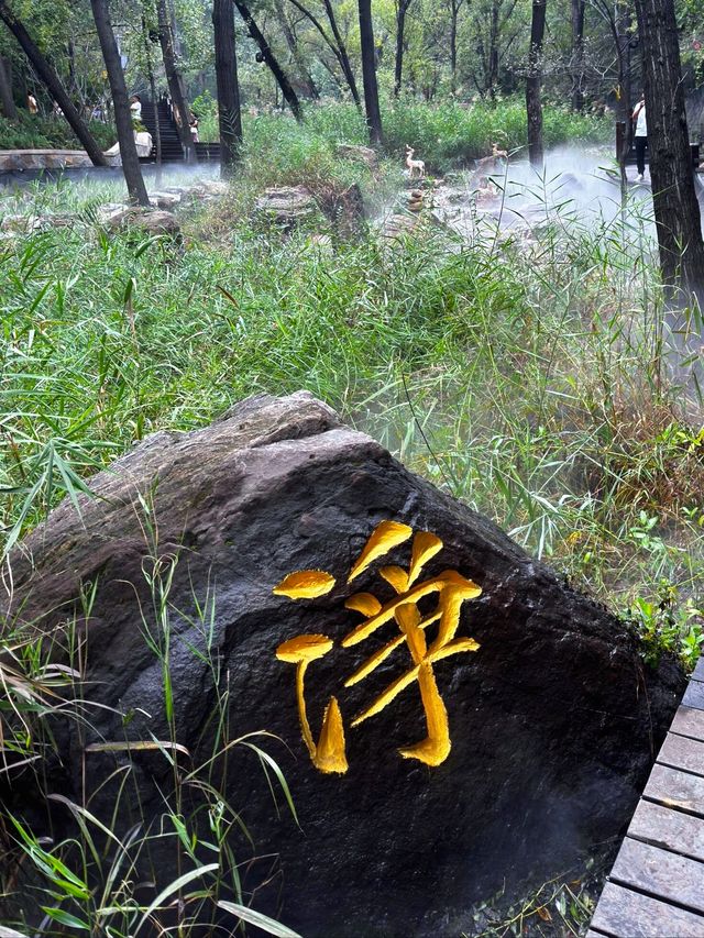 穿越千年嘅佛系治癒之旅太原蒙山一日暴走攻略