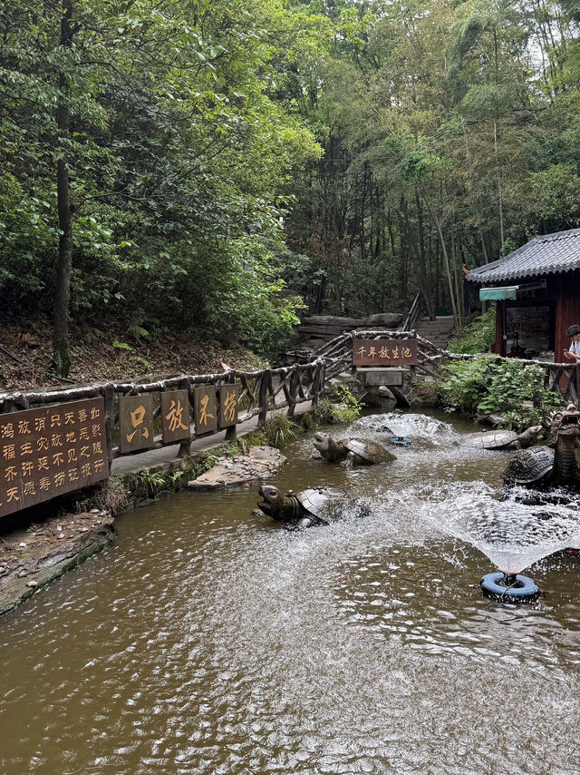 Zhangjiajie - A Dreamlike Mountain Escape 