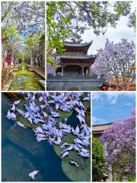 古風×藍紫｜富民上河院暴擊指南