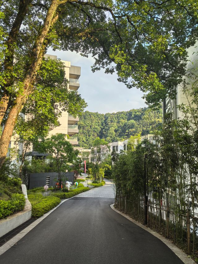 我打卡咗兔仔嘅老家旅遊度假區