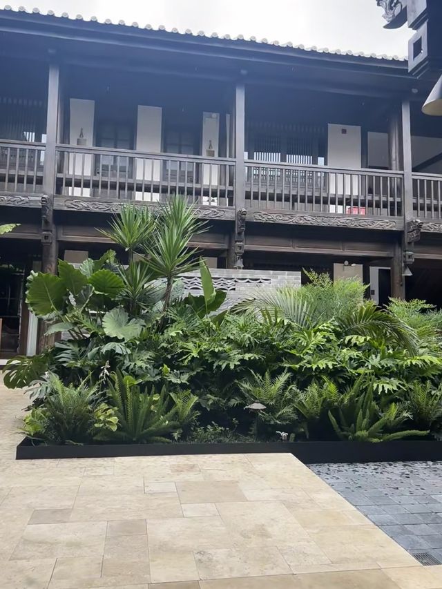 隱於古城嘅納西美學秘境—青禾民宿