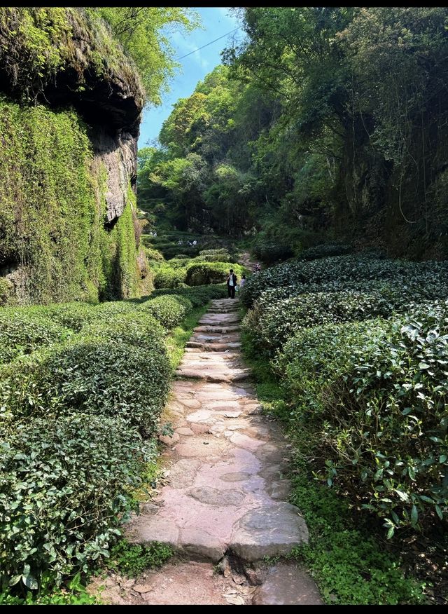 呢座隱世小城，放空行山好去處