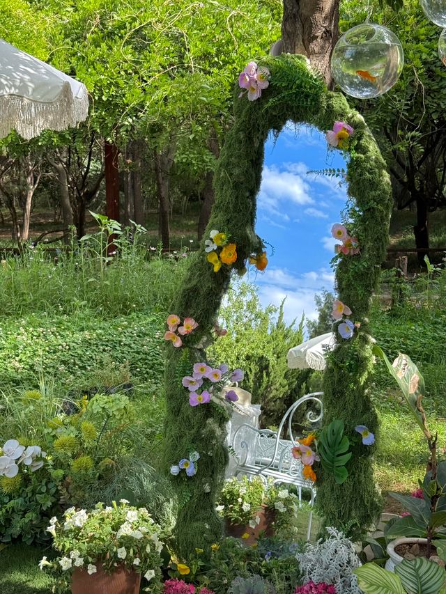 洛陽新發現！洛博對面竟藏著現實版「莫奈花園」