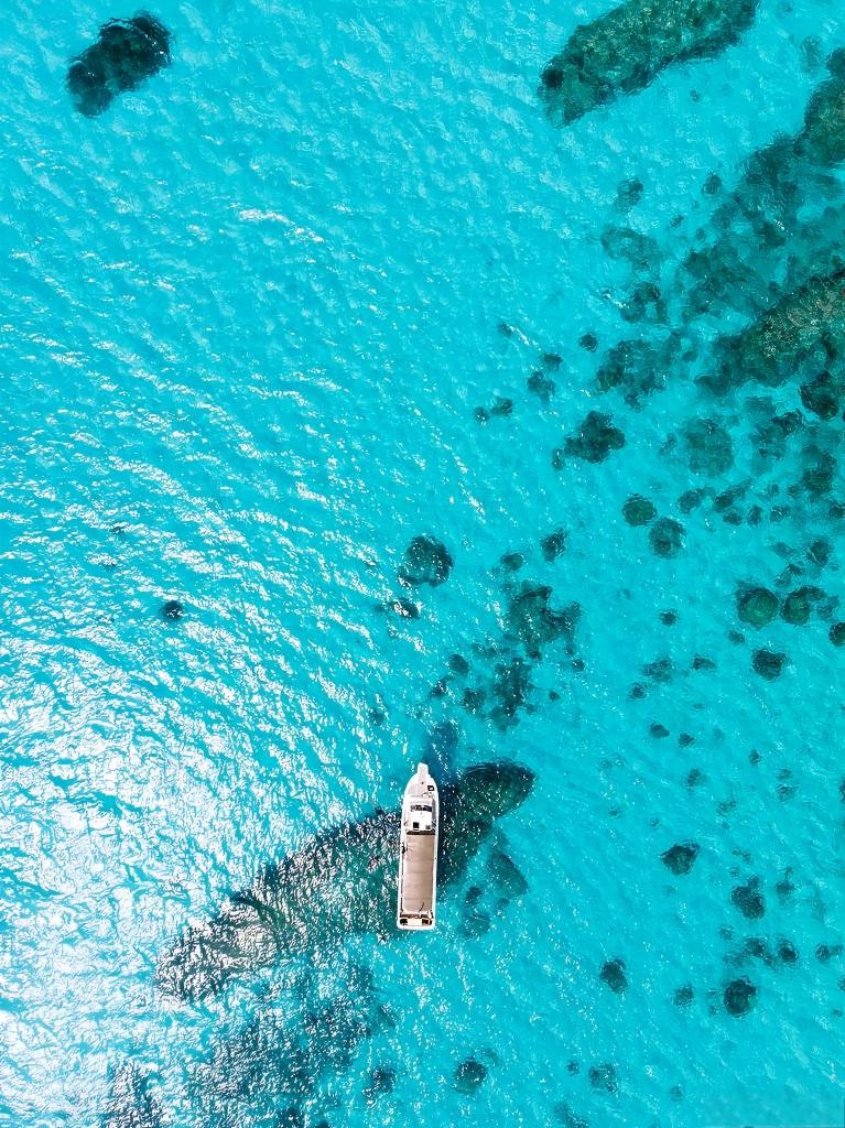 Must-visit in scorching summer Okinawa! 7 Jelly Sea Guides