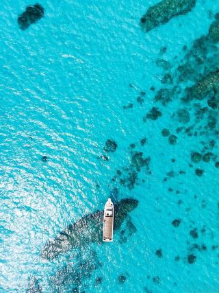 Must-visit in scorching summer Okinawa! 7 Jelly Sea Guides