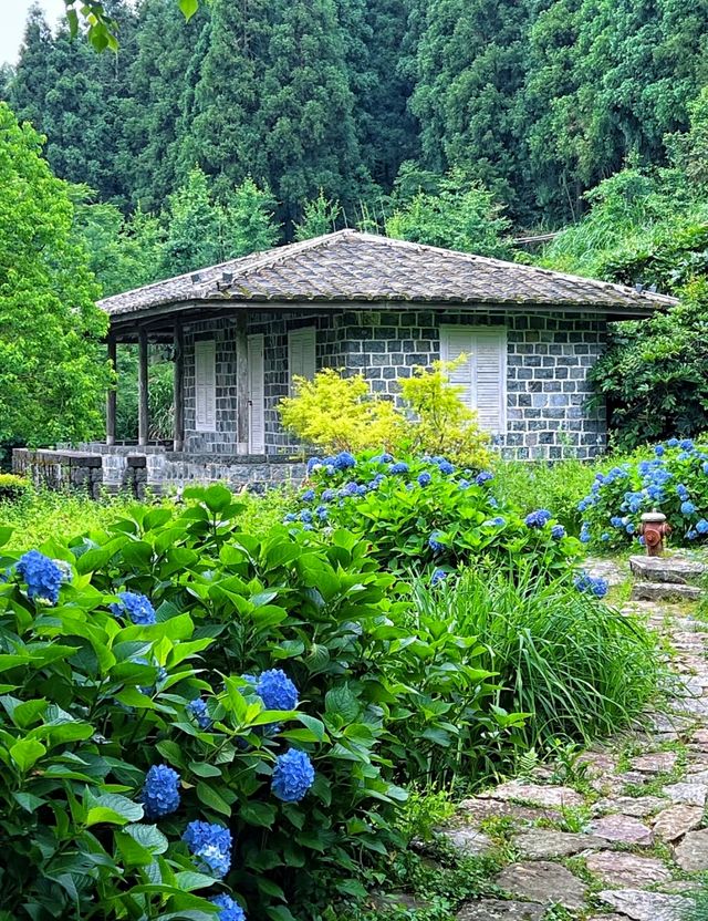 誤入雲端桃源，解鎖福州鼓嶺嘅N種玩法
