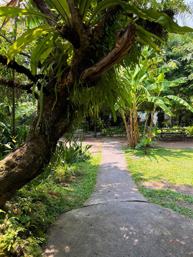 曼谷這家森林咖啡廳 我能賴一下午🌳