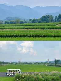 峨眉高橋里：文藝青年的心靈棲息地