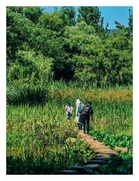 茅家埠旅遊推薦