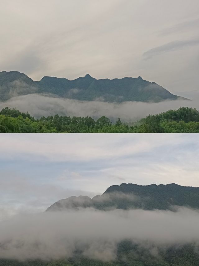 皖南川藏線茶文化民宿