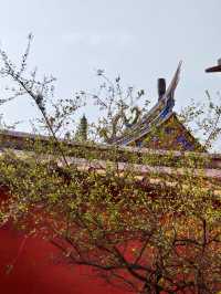 - 台南孔廟：從聖域到文脈，觸摸台灣儒學之源