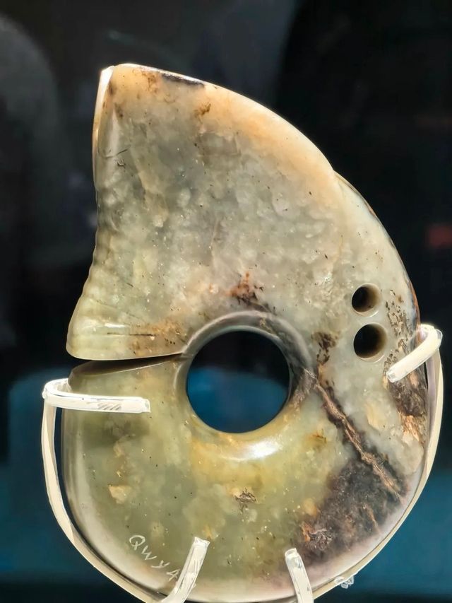 終於等到你！上海博物館紅山玉器展5000年群龍出動