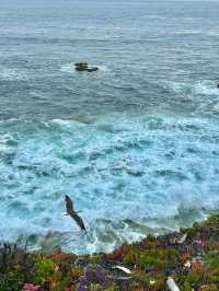 Laguna Beach 絕美打卡攻略！隨手拍都係大片視覺感