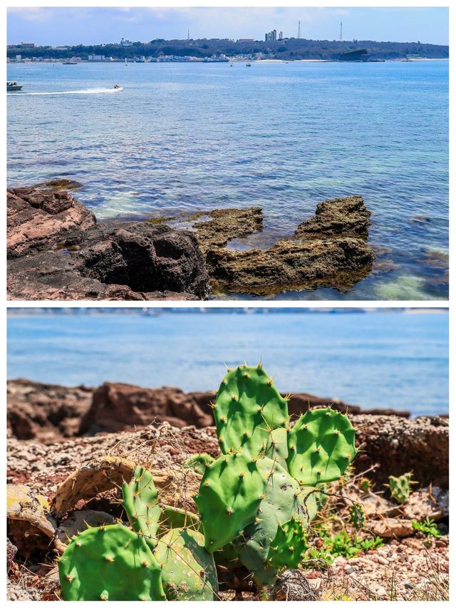 北海潿洲島受罪已回，要去的姊妹慎重