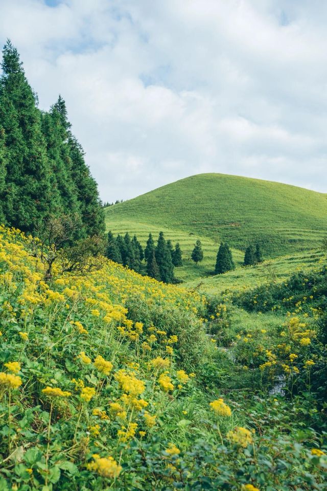 廣西茶坪水庫-真寶頂小環線