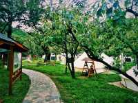 Beijing’s Best Camping Locations: A Guide to Nature Escapes