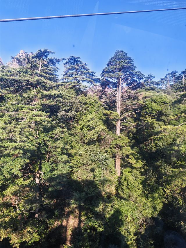 雲谷索道——於雲端，邂逅黃山的詩意靈魂