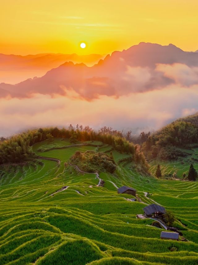 浙江麗水雲和，山青水美的寶藏小城