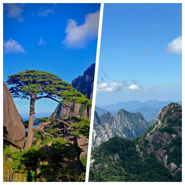 黃山超美，但真心不建議8月去，因為...........