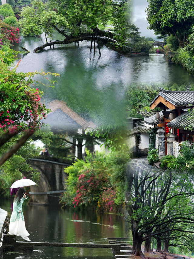 本以大理已是天花板了直到8月闖進了騰衝的雲霧裡…… 本以大理已是天花板了直到8月闖進了騰衝的雲霧裡……