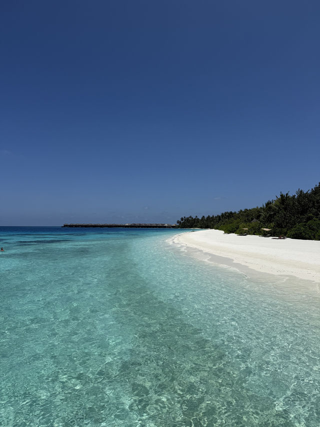 Unforgettable Honeymoon at Coco Bodu Hithi
