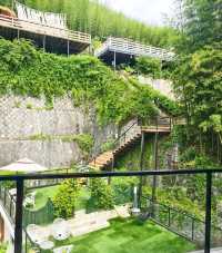 莫干山親子避世指南帶娃住進竹海裡的童話民宿！