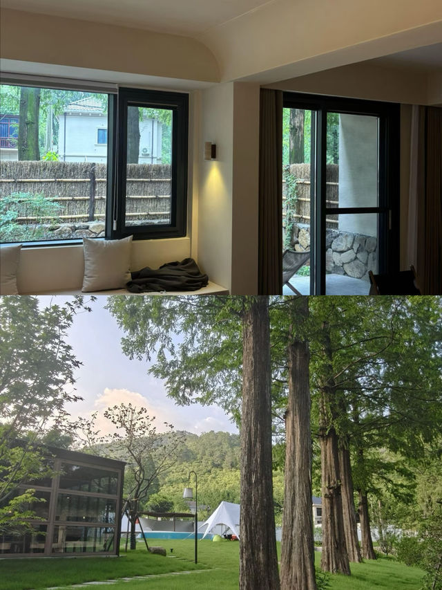 杭州餘杭挖到寶！藏在水杉林裡的避世民宿