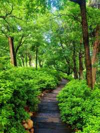 滇東秘境!曲靖深秋隱藏玩法上線,山水文化一鍵全含!