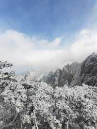 黃山冬日仙境！保姆級雪景攻略+冷門機位大公開 杭州出發2h直達！黃山雪景封神了家人們！ 