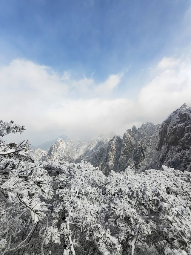 黃山冬日仙境！保姆級雪景攻略+冷門機位大公開 杭州出發2h直達！黃山雪景封神了家人們！ 