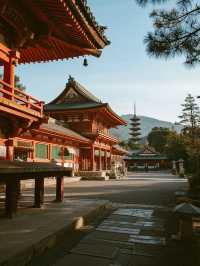 若草山手記｜在三重櫻色裡與鹿共枕星河