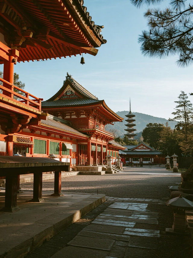 若草山手記｜在三重櫻色裡與鹿共枕星河