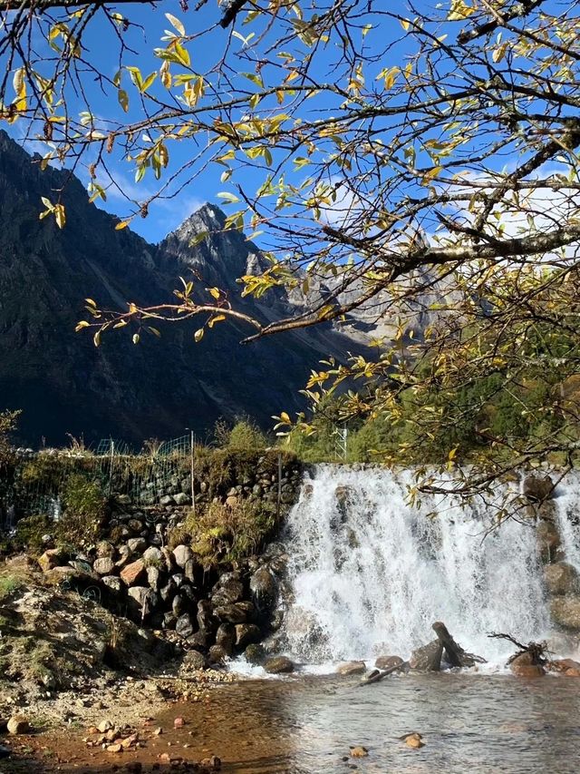 決定了秋天就去四姑娘山+理小路＋畢棚溝