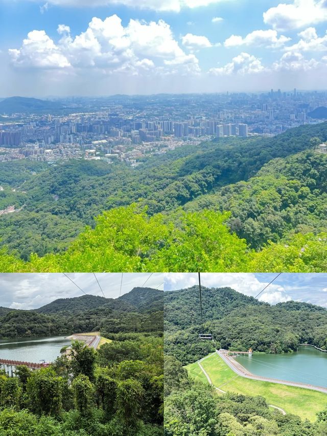 飛越白雲山！白雲飛索刺激風景雙在線！