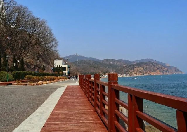 大連棒棰島實測：國賓級海景裡的避世與驚喜