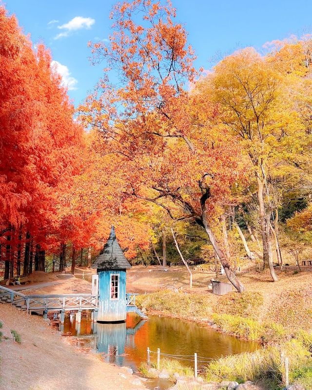 埼玉的北歐秋天！超夢幻姆明主題森林公園