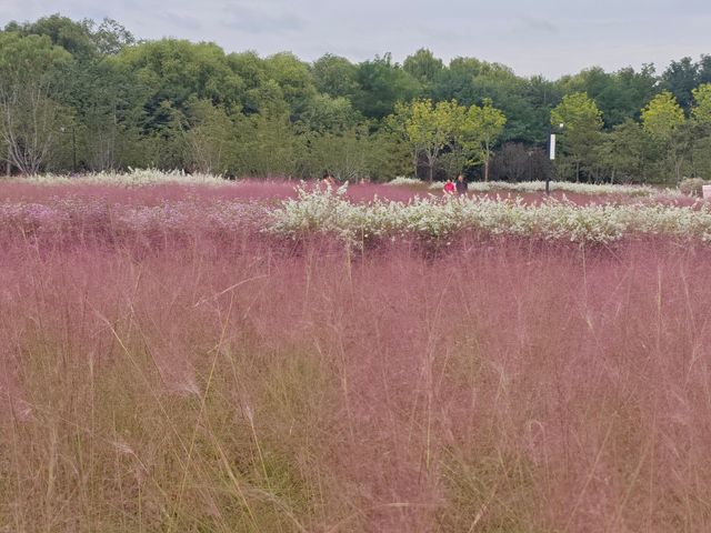 口袋公園-北小河公園 口袋公園-北小河公園