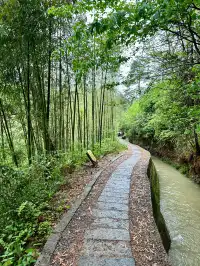 快碼住桐廬兩日|徒步|小眾富春江遊船攻略