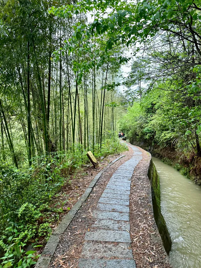 快碼住桐廬兩日|徒步|小眾富春江遊船攻略