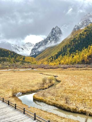 The truth may be hard to hear! But these are all must-knows for Daocheng Yading